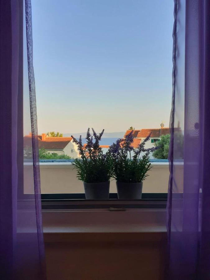 Apartments Borovina โบล ภายนอก รูปภาพ